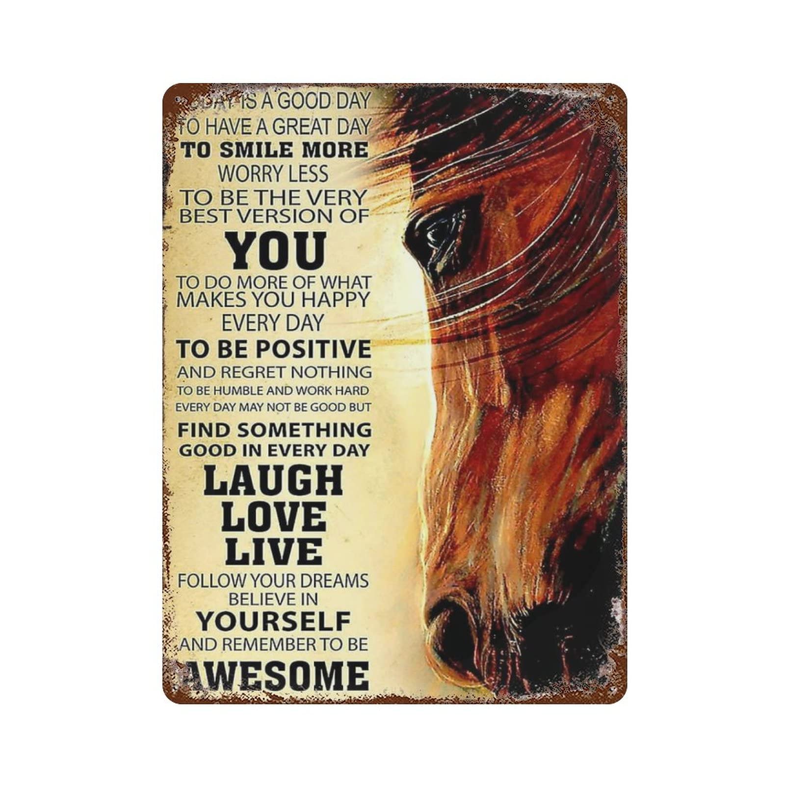 DJNGN Horse Today Is A Good Day Metal Tin Sign Retro Iron Painting Tin Poster Plaque Room Decor Kitchen Bathroom Farm Club Bar Cafe Shop Men Cave Home Wall Decor Gift Ideas