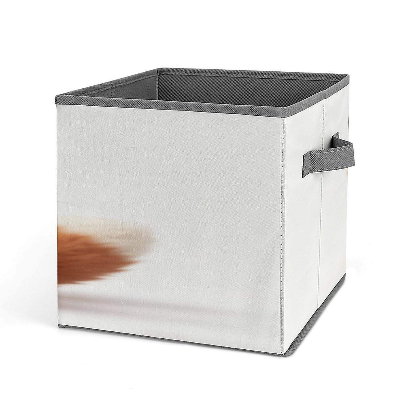 Fekiloot Style Funny Animal Storage Bins Storage Baskets