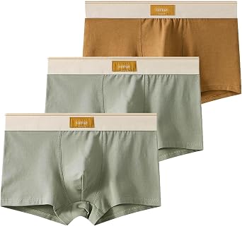 Mens Underwear Boxer Briefs Lightweight Big and Tall Boxers Athletic Breathable Comfortflexible Sexy Briefs 3-Pack