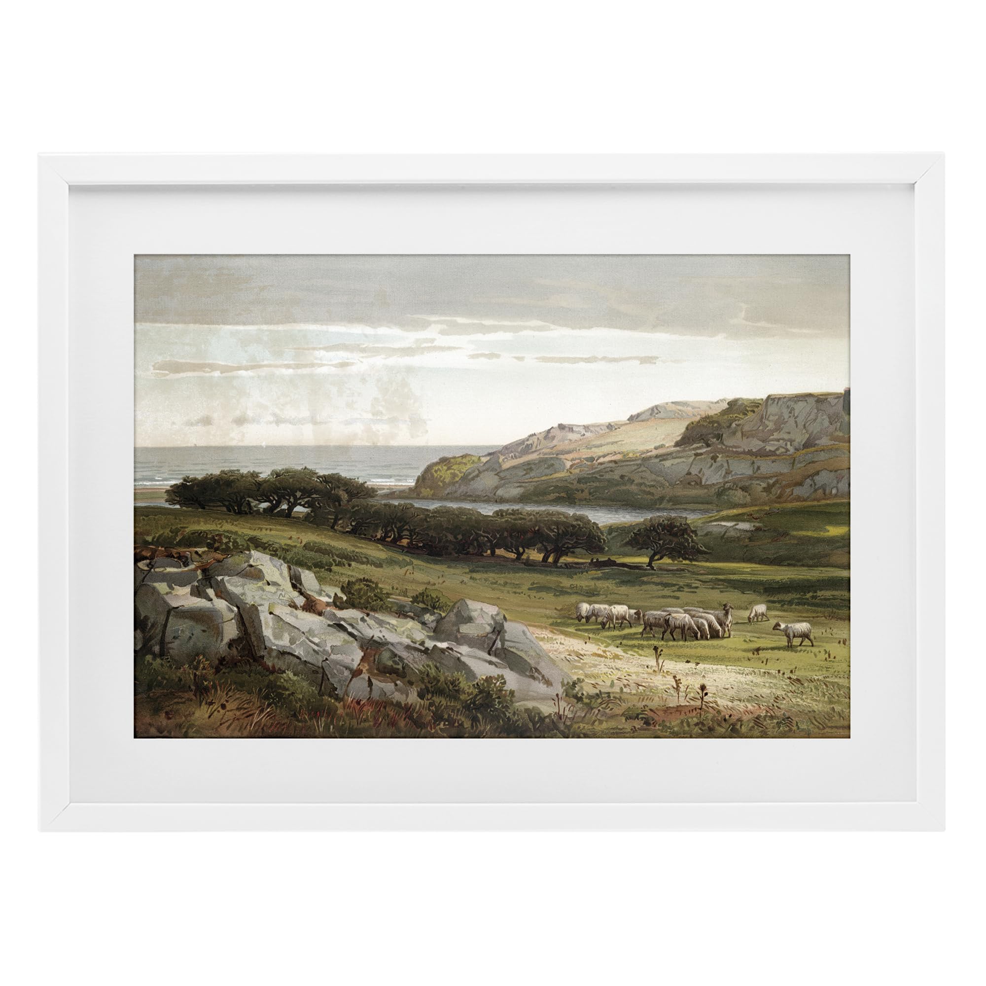 Stupell Industries Coastal White (Textured) Sheep Landscape Pastoral, 17 X 23 Inch Framed Print Under Glass