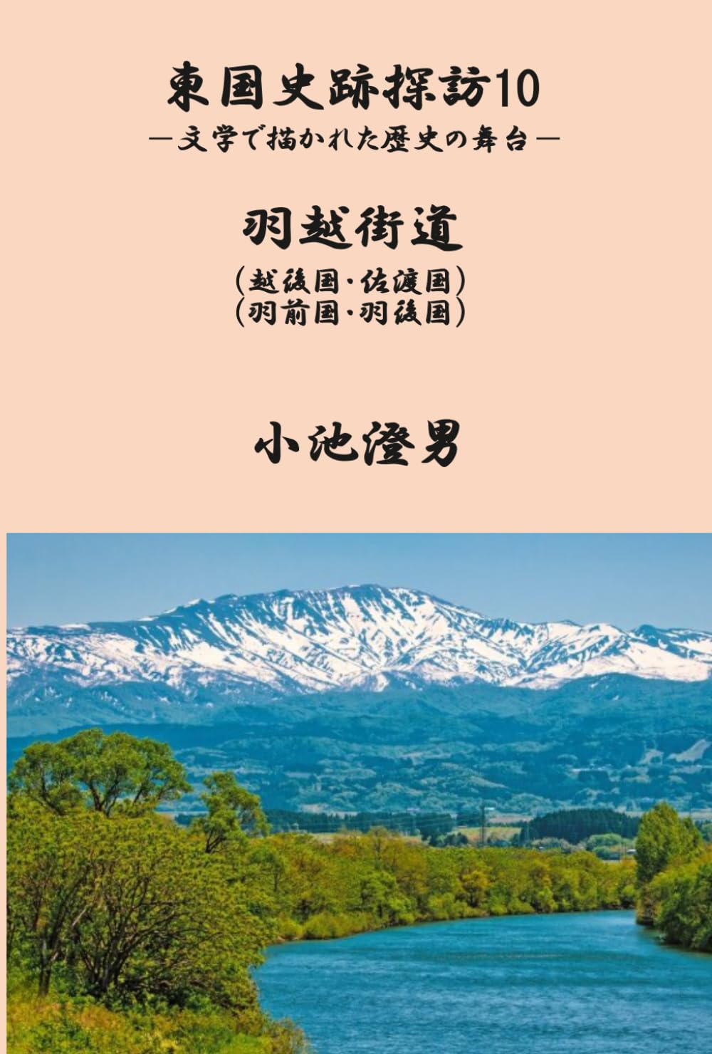 東国史跡探訪10: 文学で描かれた歴史の舞台 (東国史跡探訪)