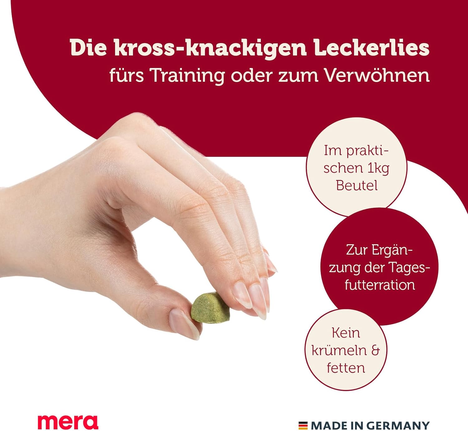 71fDNsnss2L. AC SL1500