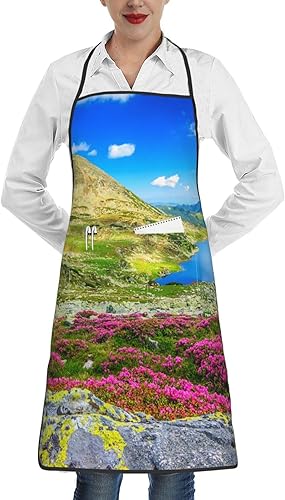 Funny Apron Women With Pocket,Aprons For Women,Cute Apron For Cooking Waitress Apron Delantales De Cocina Para Mujer