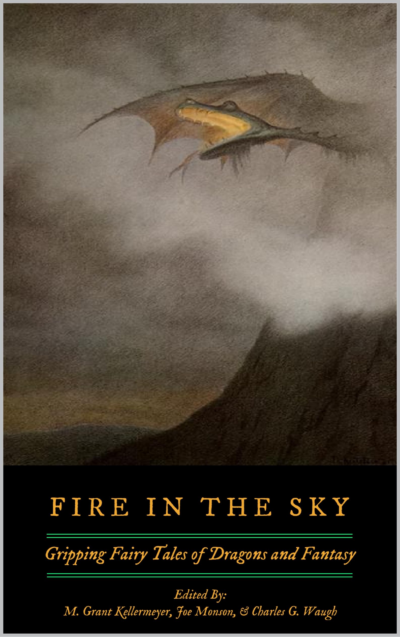 Cover of Fire in the Sky: Gripping Fairy Tales of Dragons and Fantasy