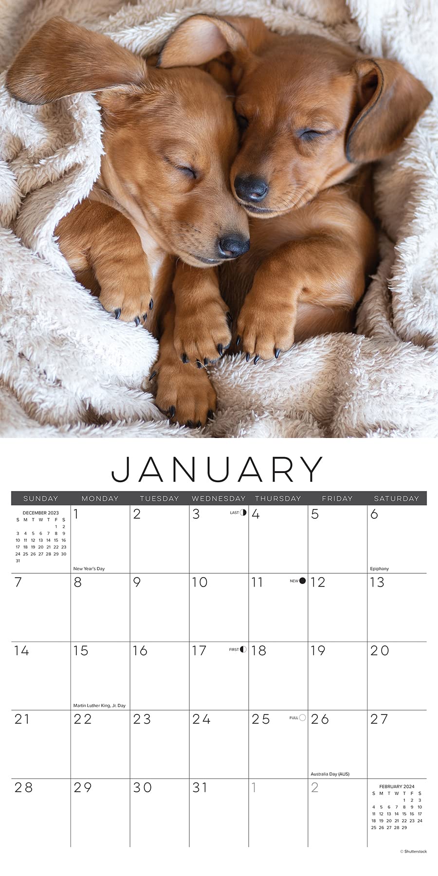 Amazon.com: Naptime Dogs & Puppies 2024 Calendar : Willow Creek Press: Office Products amazon-com-naptime-dogs-puppies-2024-calendar-willow-creek-press-office-products