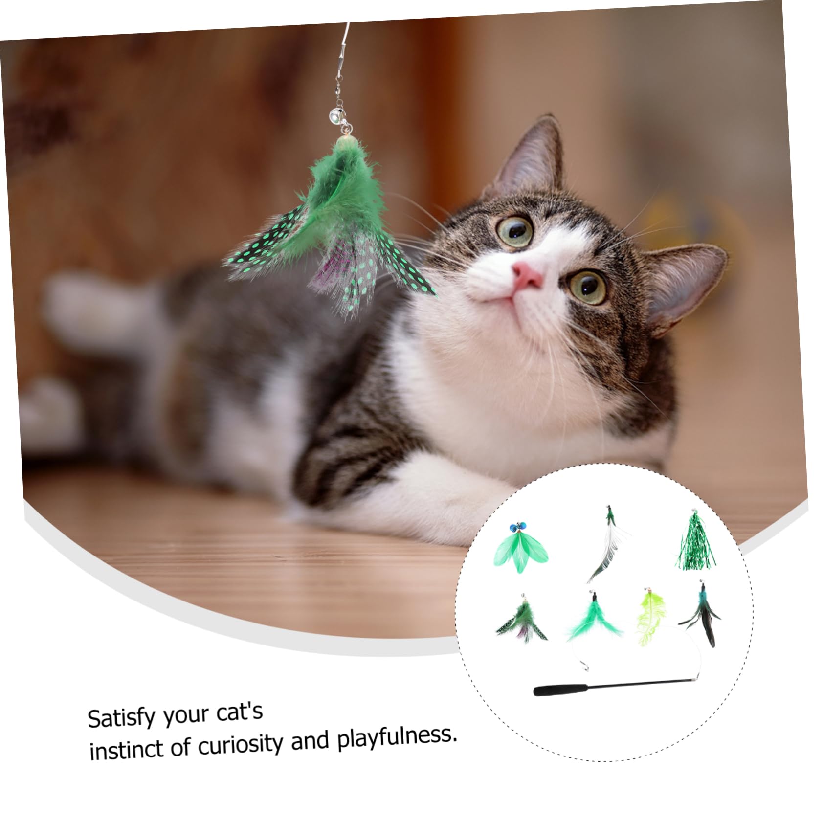 Kisangel 24pièces Jouets Interactifs pour Chat Canne Plumes Et Têtes Remplaçables Kit De Divertissement pour Chat