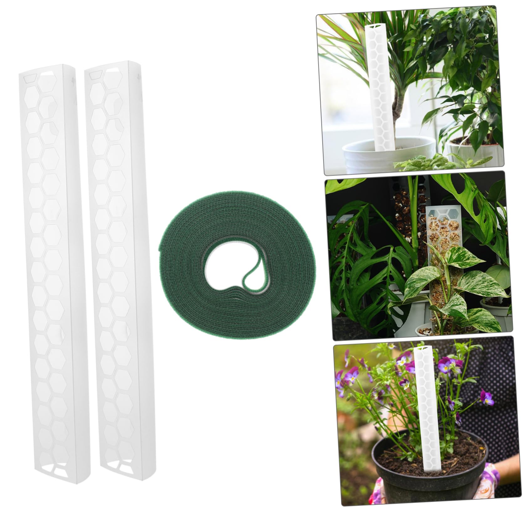 Kisangel 3 Sätze Moosstange aus Kunststoff Pflanzenpfähle Stand Trainingsclips für Pflanzenstämme Haken Baum Pflanzenstangen pflanzenrankhilfen Moos Pflanzenpfosten Kleiner Moosstab Plastik