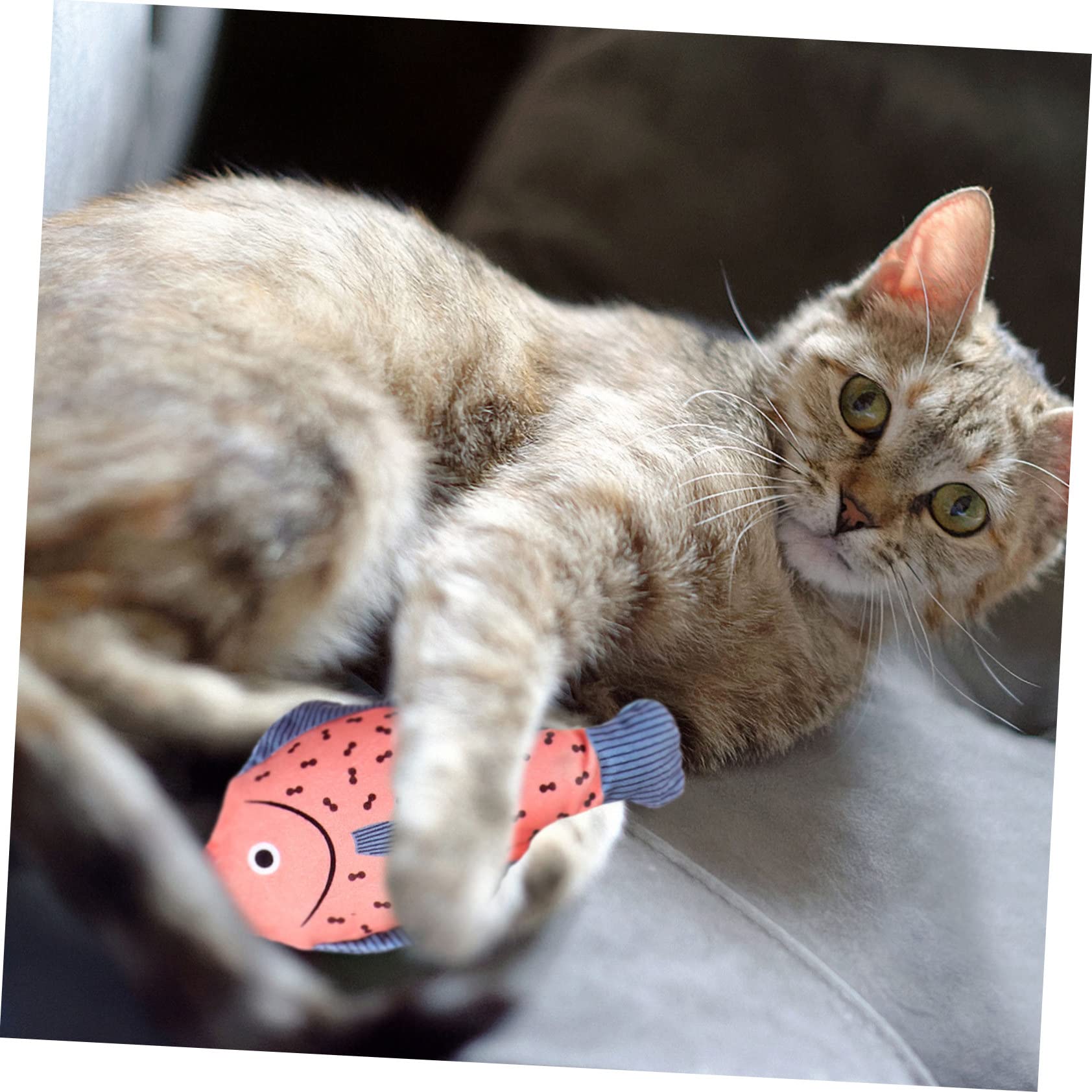 Happyyami 12stücke Katzenminze Spielzeug Kreative Plüschfischspielzeuge Für Interaktives Spielen Mit Katzen Squeaky Und Weich Für Katzen Und Kätzchen Teiliges