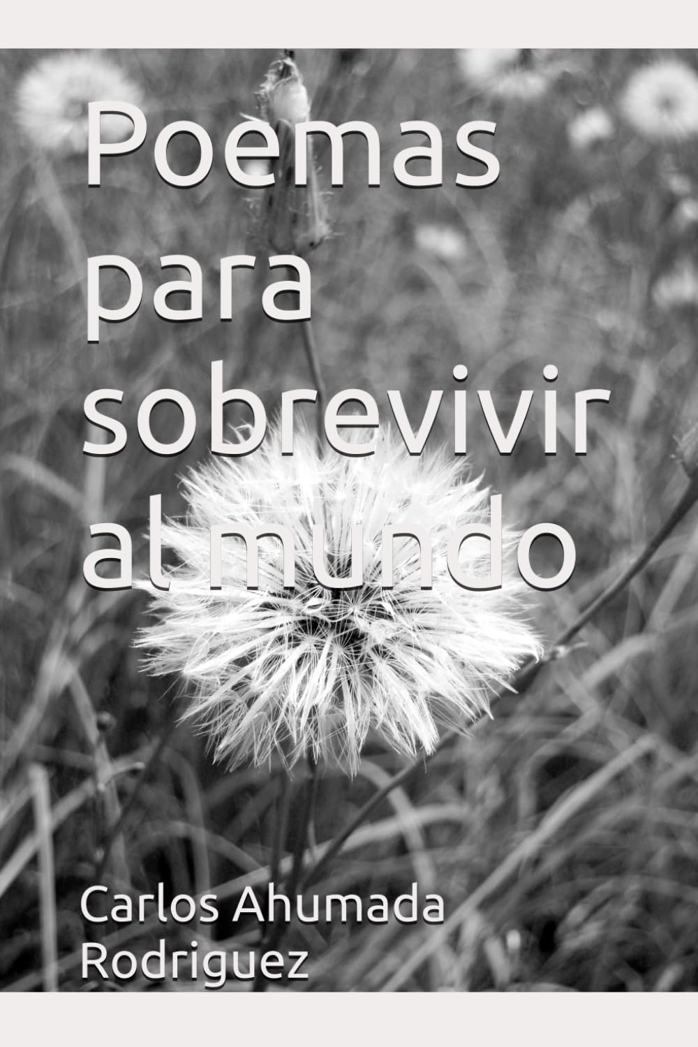 Poemas para sobrevivir al mundo