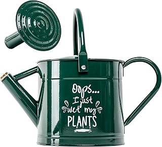 Metal Watering Can Outdoor and Indoor - Cute Garden Outdoor Watering Can 1 Gallon, Large Galvanized Flower Watering Can, H...