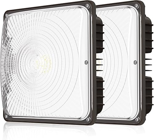 CINOTON Paquete de 2 luces LED de 60 W, 8400 lúmenes (reemplazo HID de 240 W), luz diurna impermeable de 5000 K para garaje, tienda, gasolinera,