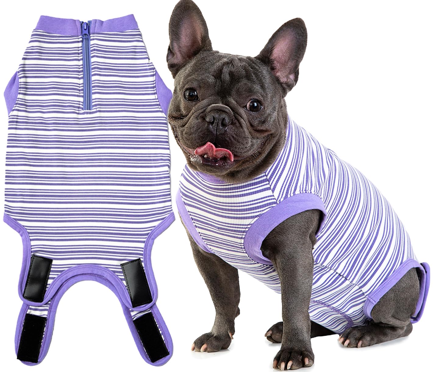 Recovery Suit for Female Dogs, Dog Cone Alternative After Spay