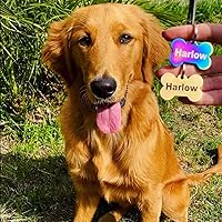 Vista 5 de Etiquetas de perro grabadas personalizadas, de acero inoxidable, grabadas, etiquetas de identificación de perro y gato, parte delantera y trasera