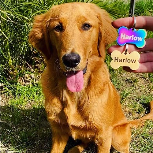 Miniatura 5 de Etiquetas de perro grabadas personalizadas, de acero inoxidable, grabadas, etiquetas de identificación de perro y gato, parte delantera y trasera,