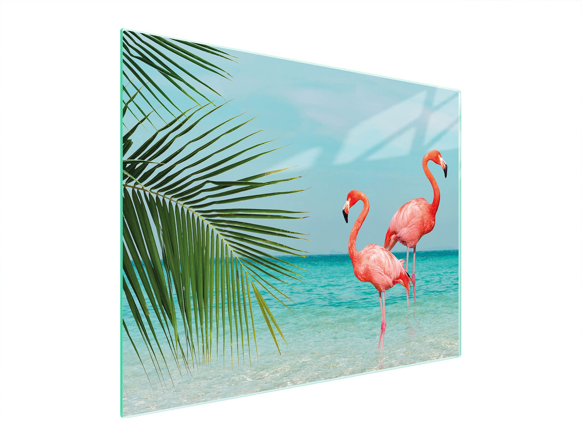 Plaque en verre universelle de cuisine 52 x 40 cm d'exception