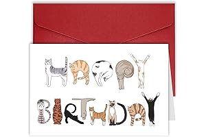 Happy Birthday Card for Cat Lover