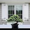 Product Photo 4