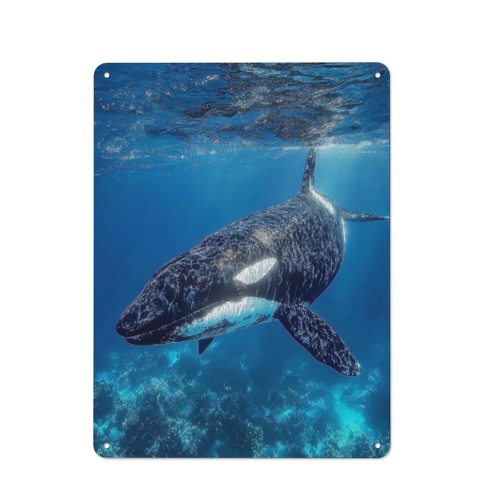 Junmoney Style-8 Vintage Vintage Tin Sign 40X30cm Featuring Orca Underwater, Cafe Wall Decor For Coffee Bar, Kitchen, Bistro Or Tea Corner