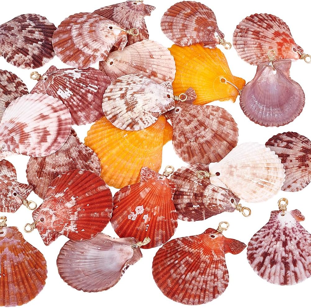 PH PandaHall 25pcs Natural Shell Pendants, 1.7~2.2 inch Colorful Scallop Pendants Dyed Beach Seashells Charms Dyed Summer Sea Shell Pendant Wrapped with Golden Wire for Bracelets Crafts Making