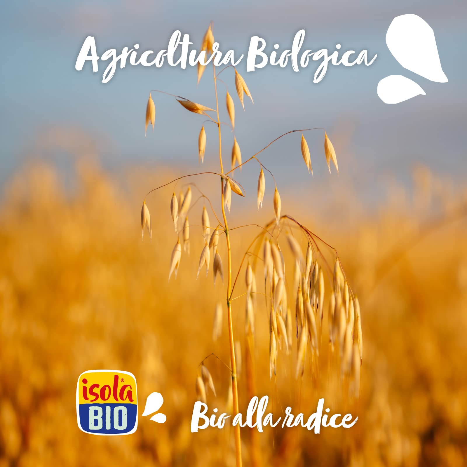 PORRIDGE DE AVENA FICHI LAMPONI Y UVETTA BIO 375 GR