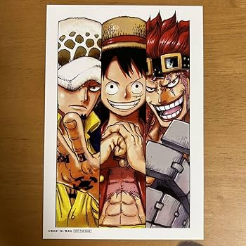 Amazon.co.jp: ONE PIECE ワンピース イラストカード 尾田栄一郎