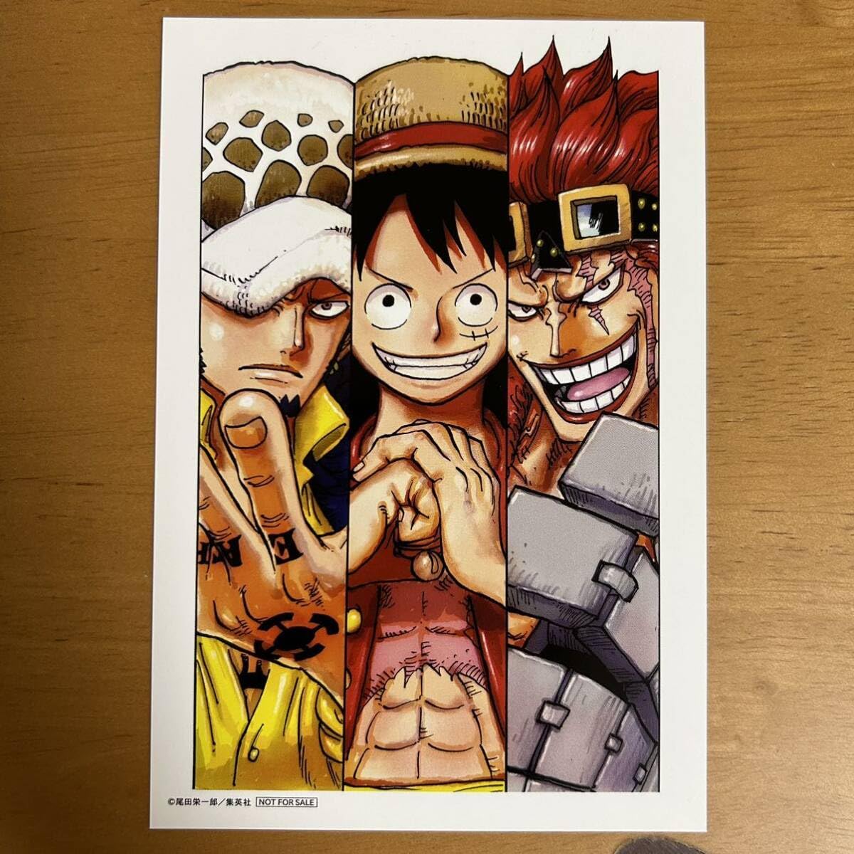 ONE PIECE 100巻 　尾田栄一郎　初版　特典カードミニポスター付　新品 ワンピース 100巻 特典 イラストカード 尾田 栄一郎 - メルカリ