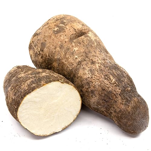 Yam blanco (envío incluido (9 libras)