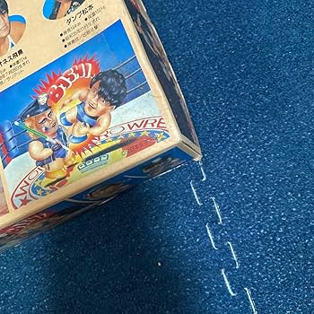 ライオネス飛鳥VSダンプ松本　ARII製　プラモデル ✿ ライオネス飛鳥VSダンプ松本 全日本女子プロレス プラモデル