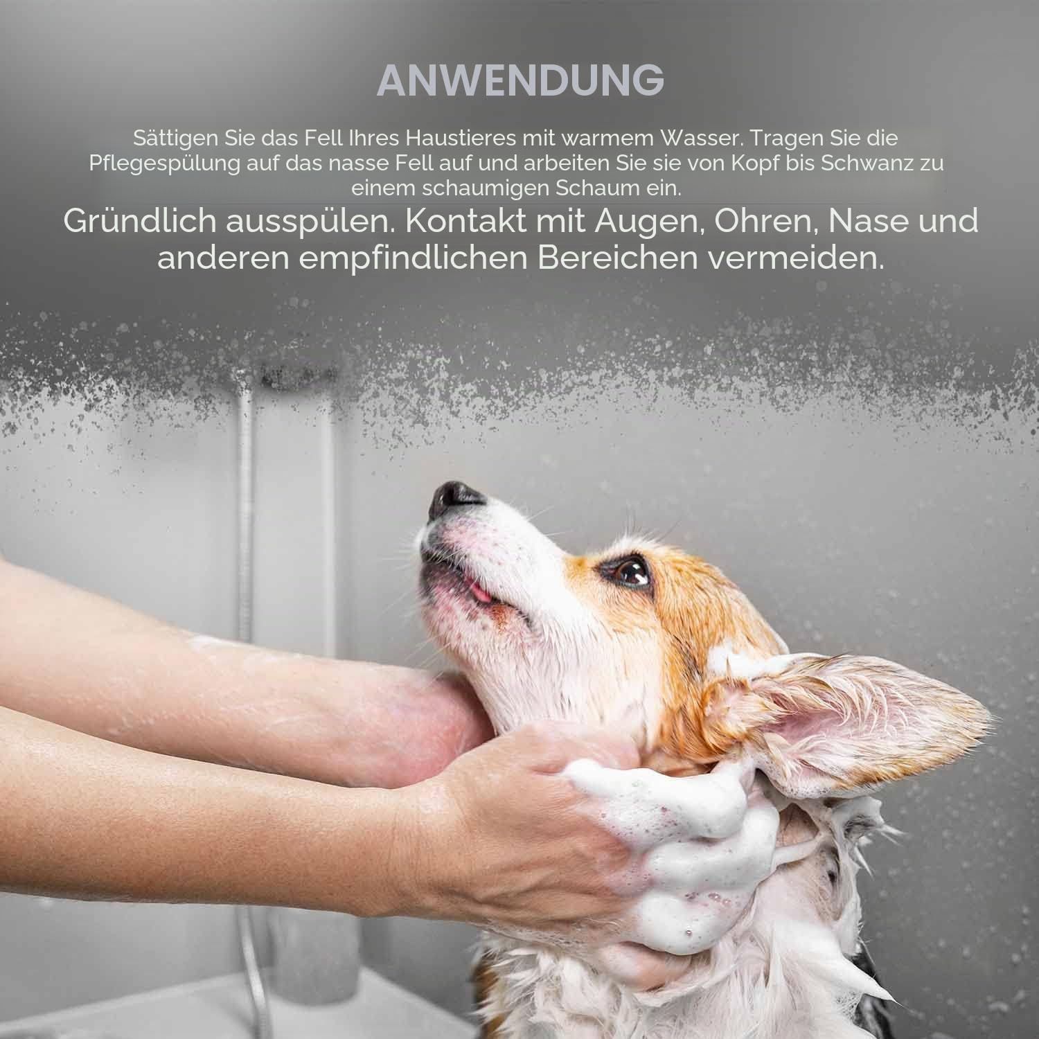 WAHL Showman Leicht Groom Conditioner - 5 lt - Clear, Unisex, WHL0131