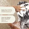 شامبو Polytar Scalp ، لظروف فروة الرأس ، يقلل من الحكة ، الالتهاب والمقاييس ، الشامبو يعالج الصدفية ، التهاب الجلد الدهني ، الأكزيما والقشرة ، يحتوي على محلول قطران الفحم ، 1 × 150 مل