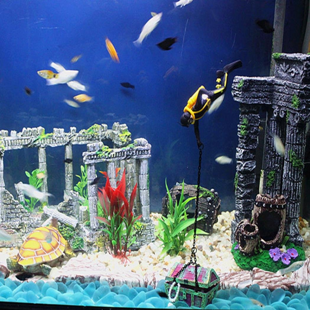 clearance aquarium supplies
