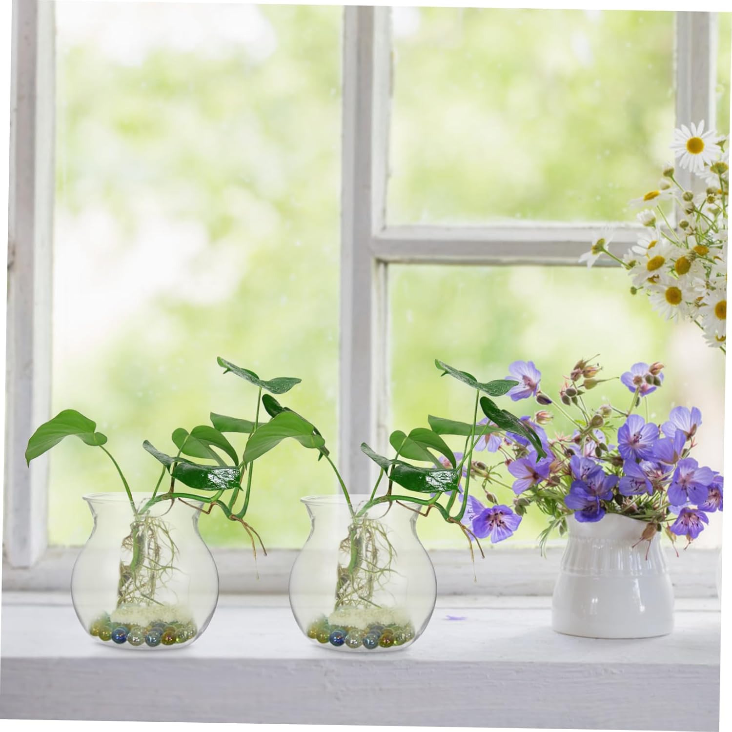 DECHOUS 10pcs Ecological Bottle Planter Vase for Succulents Transparent Hydroponic Plant Holder Desktop Table Adornment for Easy Growth Monitoring and Decorative Indoor Gardening