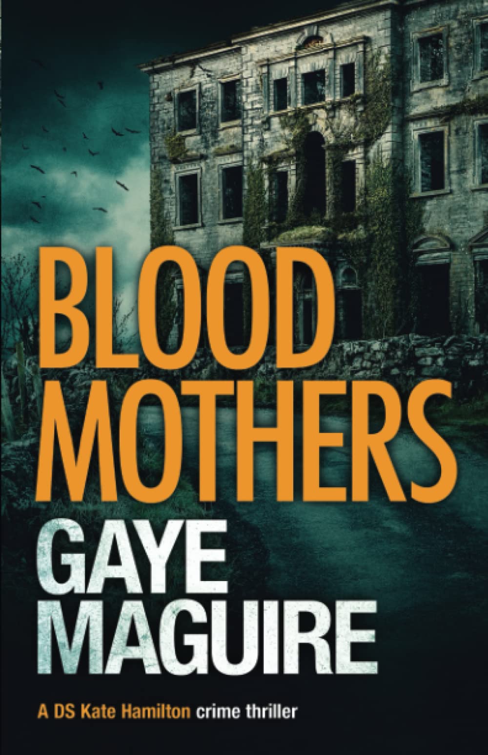 Blood Mothers (DS Kate Hamilton Crime Thriller)
