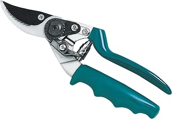 53143 PRUNING SHEARS ROTATED.STALKED