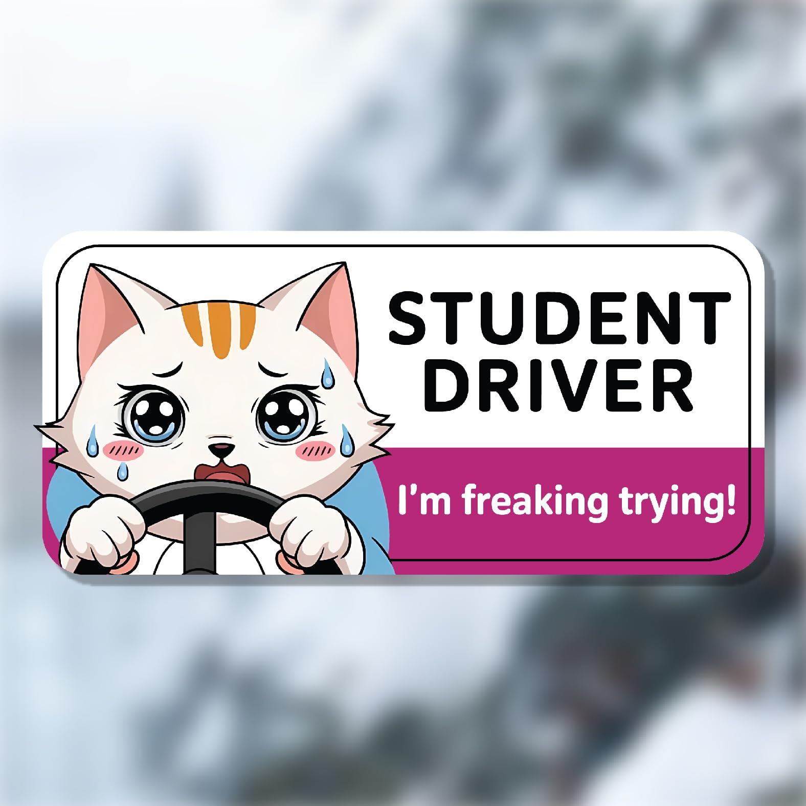 7.6x3.6 I'm Freaking Trying! Funny Kitten Student Driver Magnet – Hilarious Car Accessories for New Drivers, Teens & Beginners – Humorous & Relatable Design