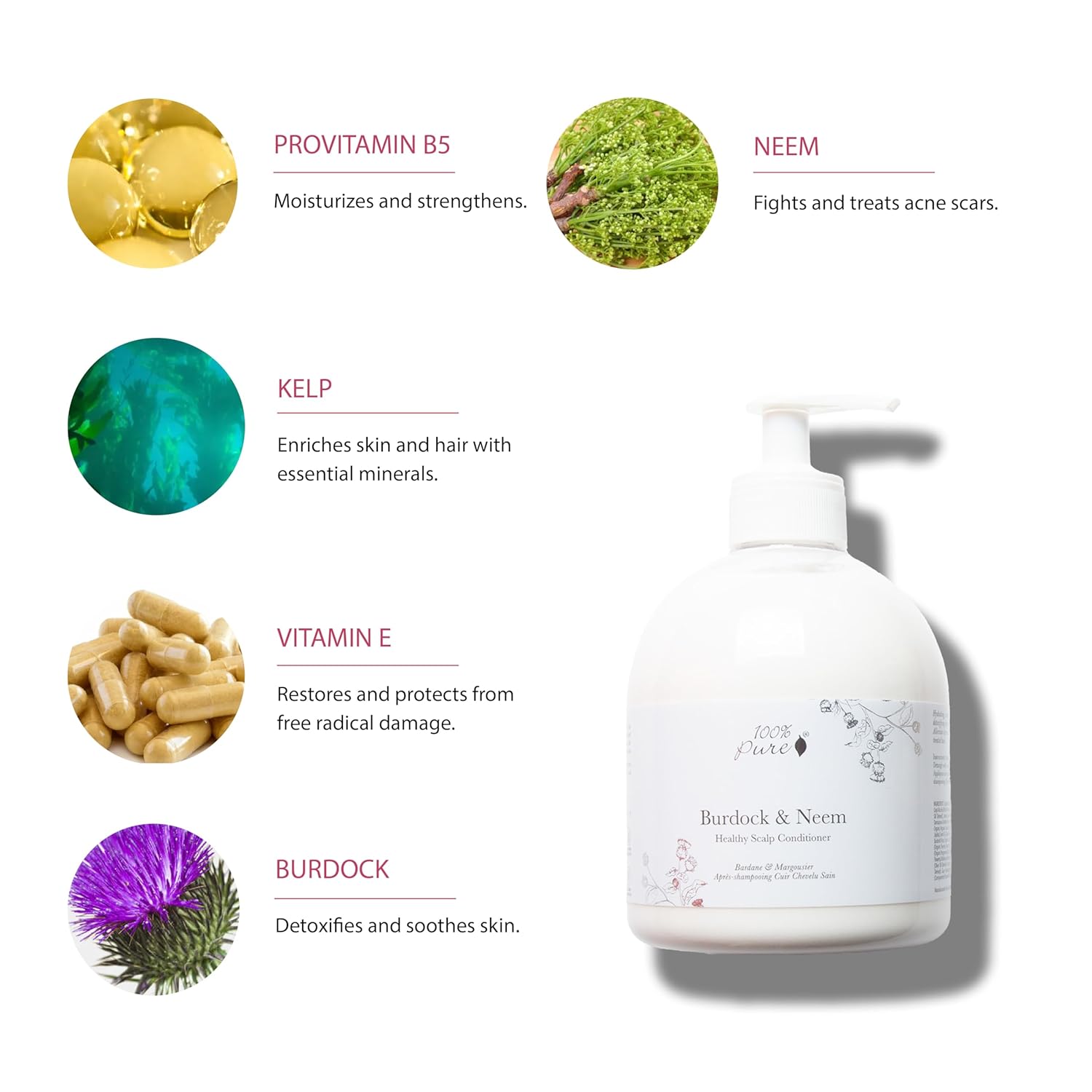 100% PURE Healthy Scalp Conditioner Purifying Burdock & Neem for Dry Damaged Hair Replenishing Itchy Flaky Scalp Hydration for Women & Men - 16 Fl Oz - Image 3