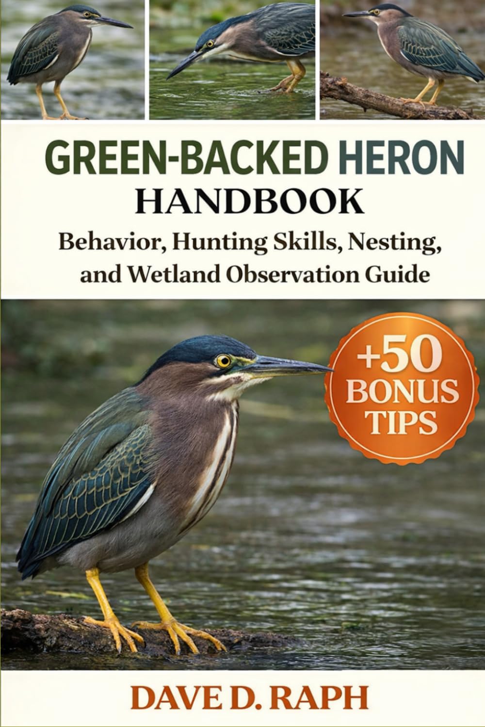Green-Backed Heron Handbook: Behavior, Hunting Skills, Nesting, and Wetland Observation Guide