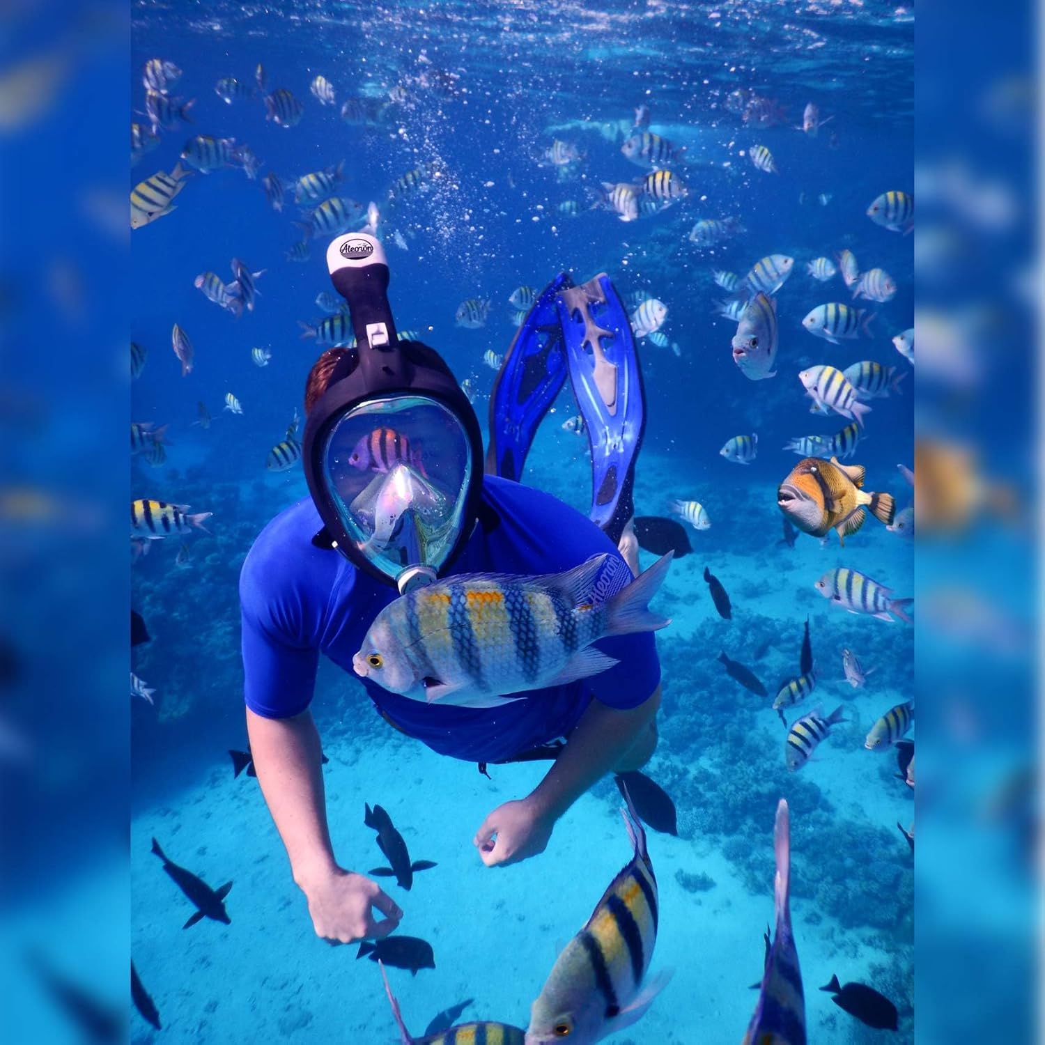 WHITE Foldable Full Face Snorkel Mask for Adults and Youth (Women & Men) - Anti Fog Snorkeling Mask Full Face with Action Camera