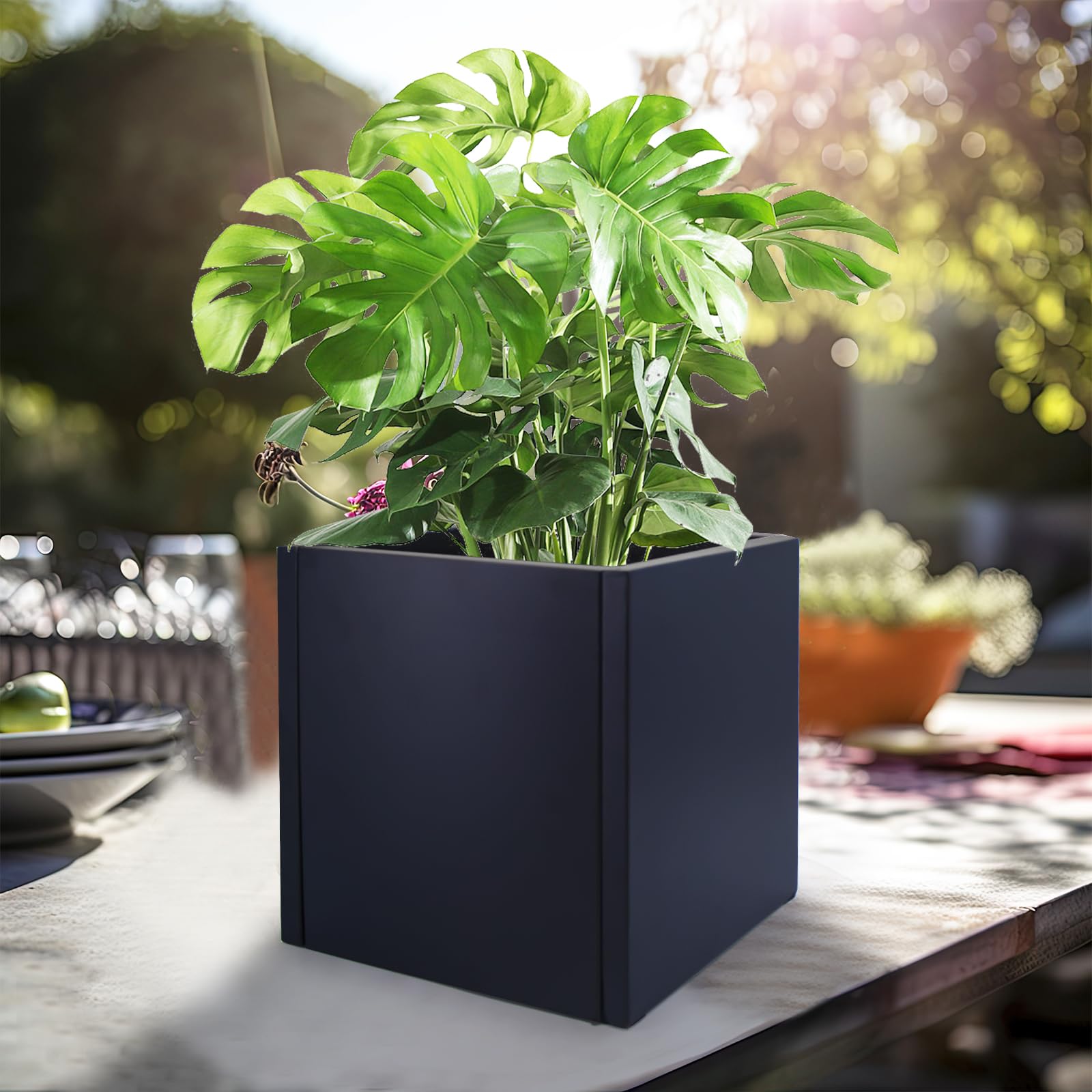 Zezgeuro Jardinière Rectangulaire En Acier Galvanisé – Aucune