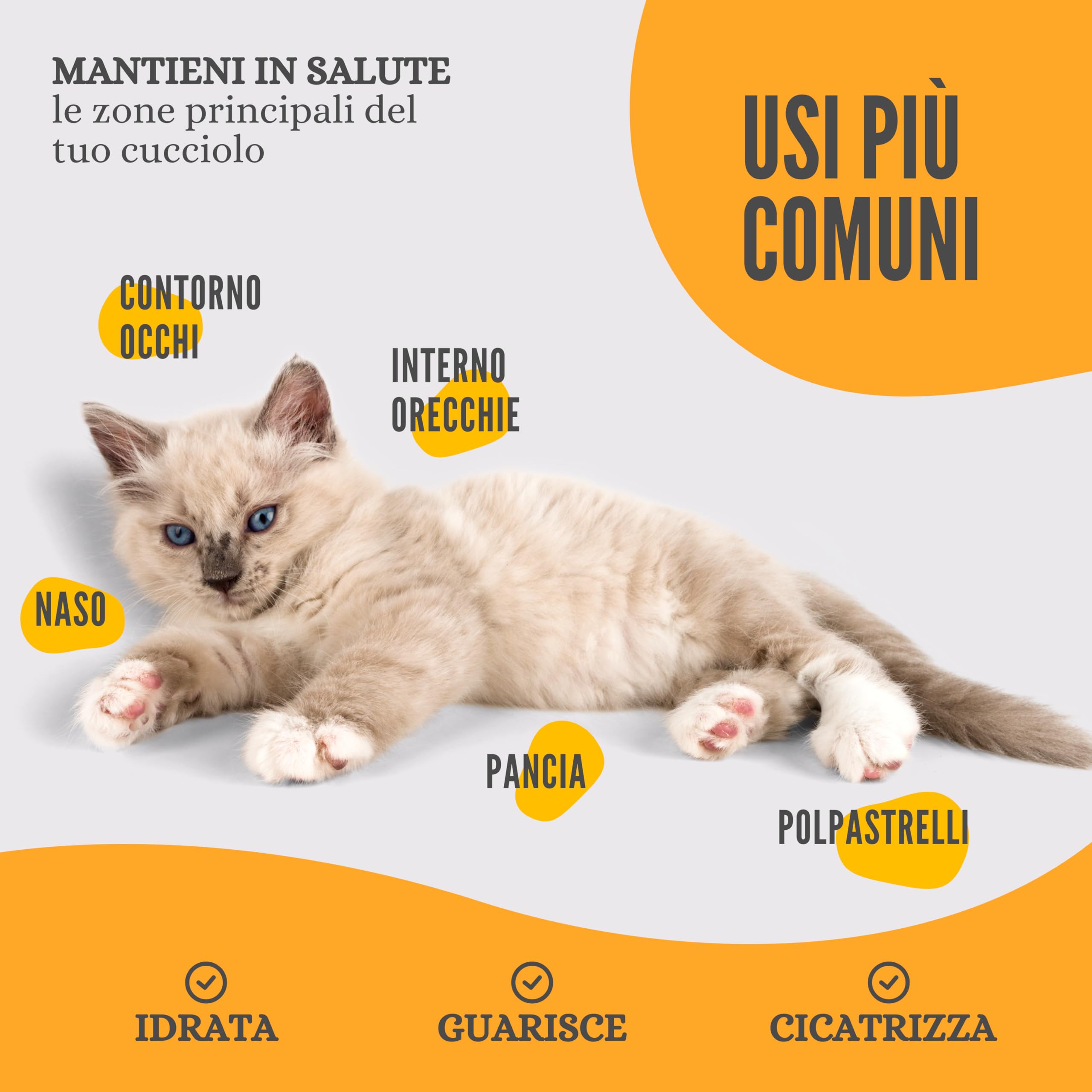 LexyFriend Crema Polpastrelli Cane Gatto Cicatrizzante, Pomata Protezione Zampe e Crema Gomiti Secchi e Irritazioni 150ML, Crema Cuscinetti per Cani Lenitiva Ossido di Zinco Argilla Bianca Bio