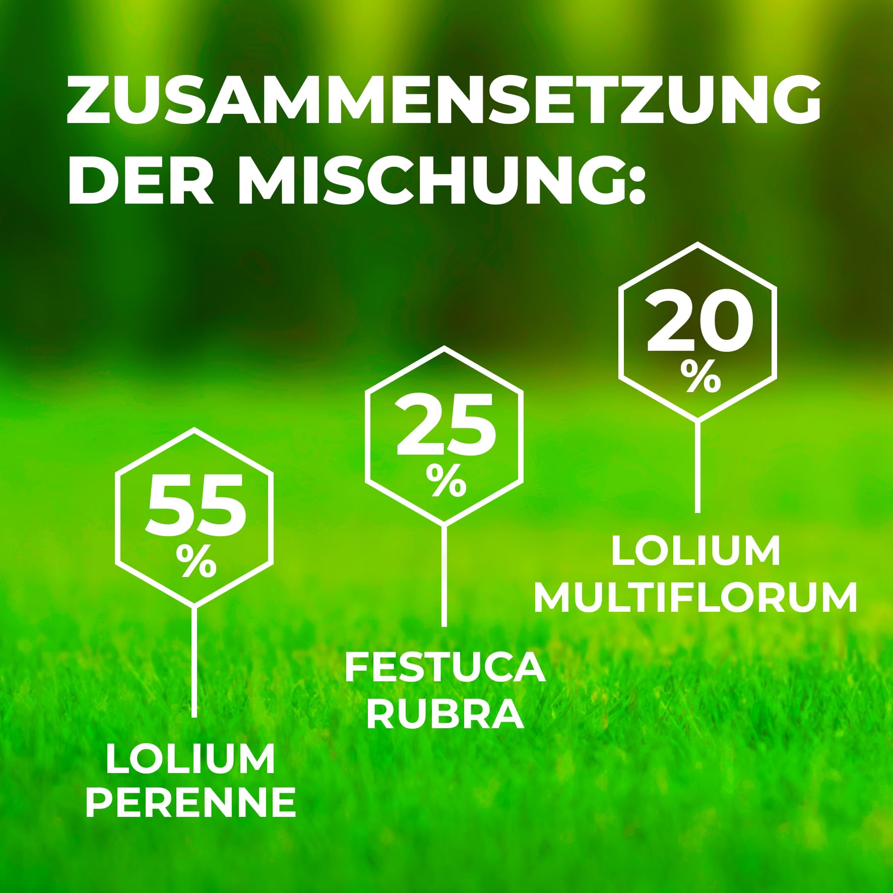 Spiel und Sport Rasensamen Greenato Sport 5kg – Turbo Rasensamen Nachsaatrasen schnellkeimend Unkrautvernichter Rasen Grassamen ideal für Neuansaat extra robuster Rasen ausreichend für 200 m²