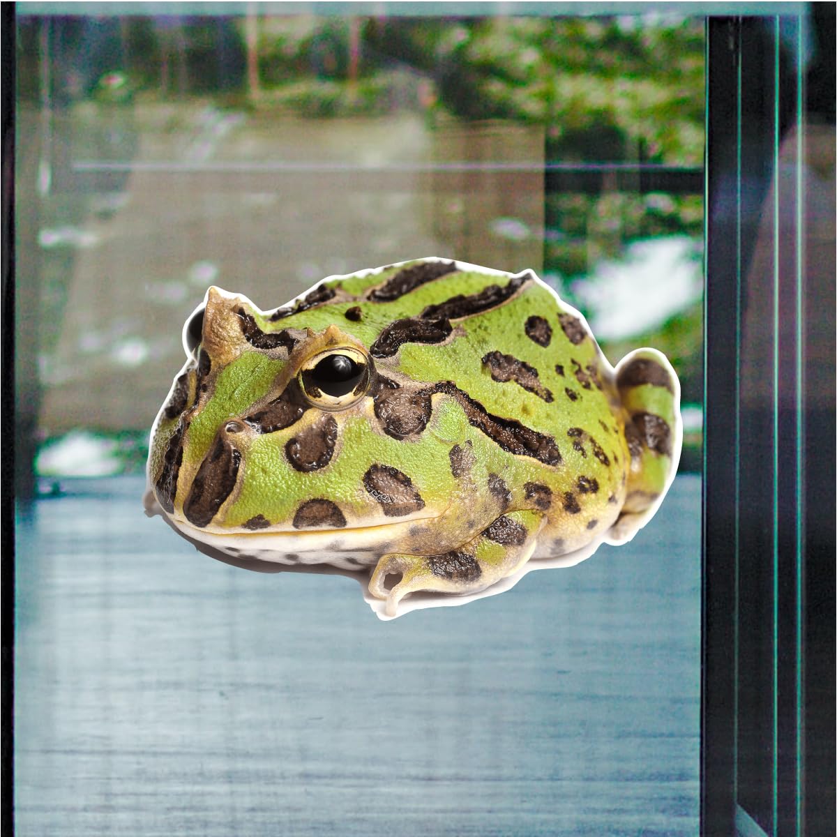 Amazon.com: Pacman Frog Side 8 inch Static Cling : Everything Else