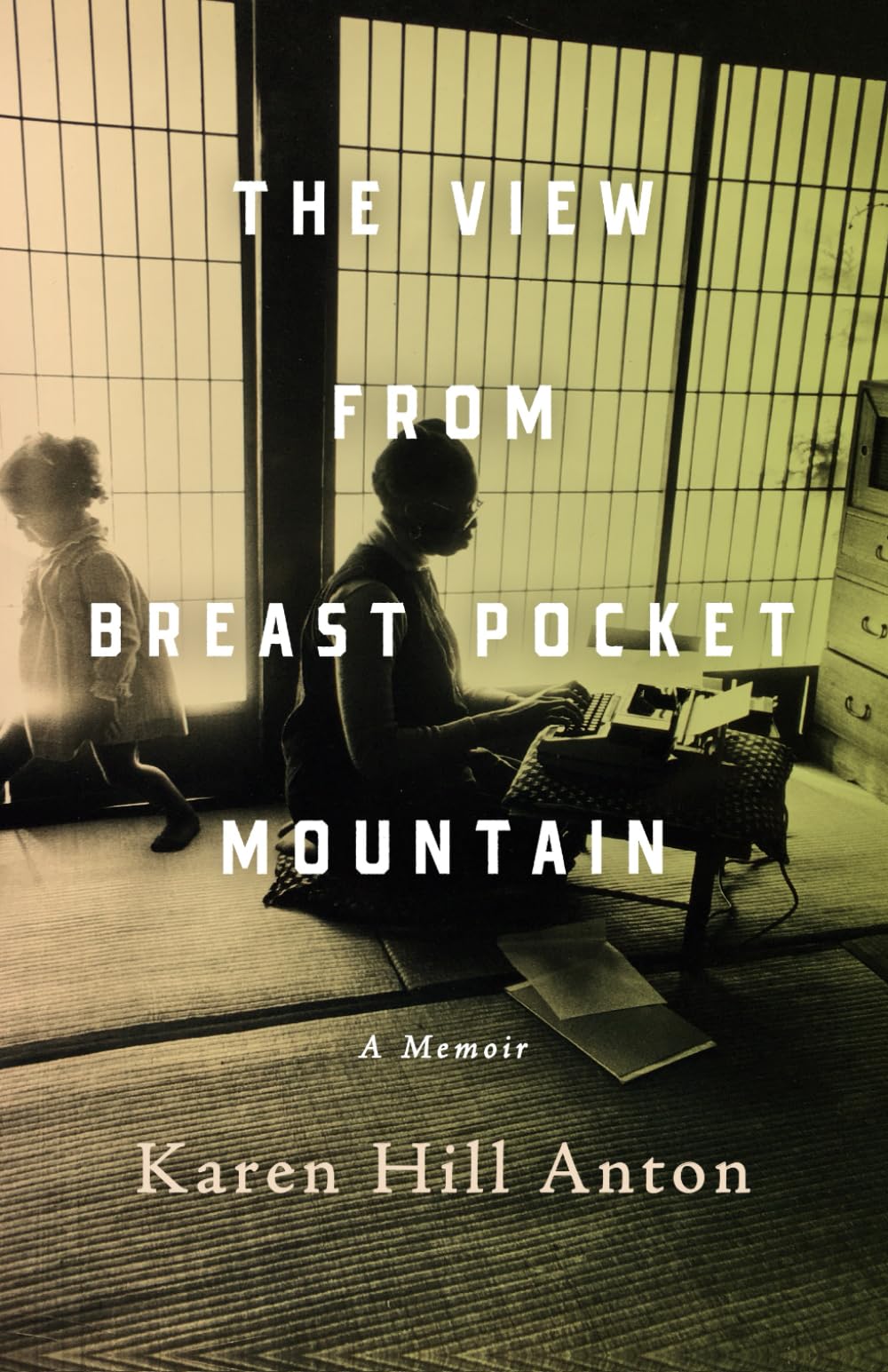 The View From Breast Pocket Mountain: A Memoir