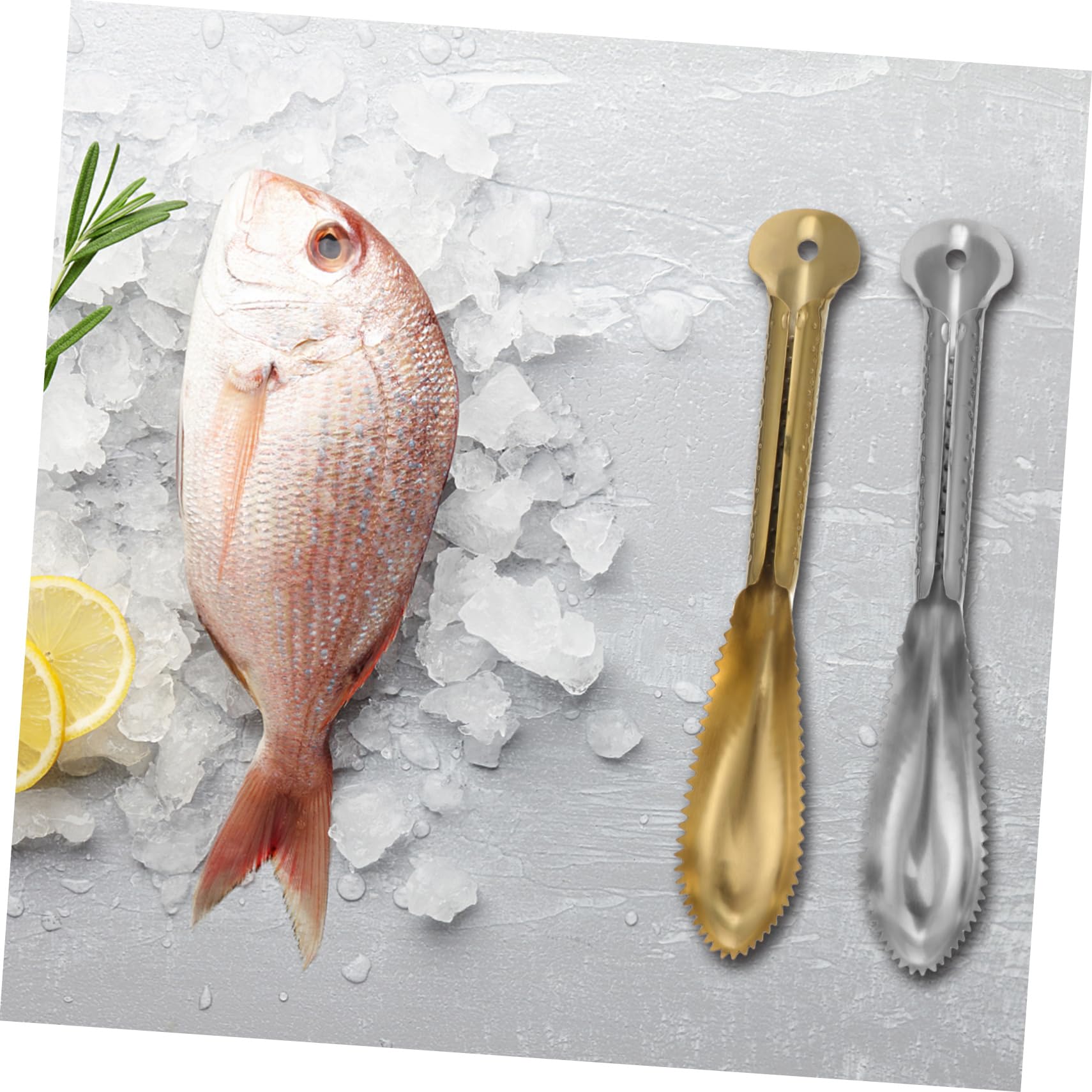 Cabilock 2Pcs Stainless Steel Fish Scaler Fish Scraper for Household Use Fish Scale Remover Kitchen Tool