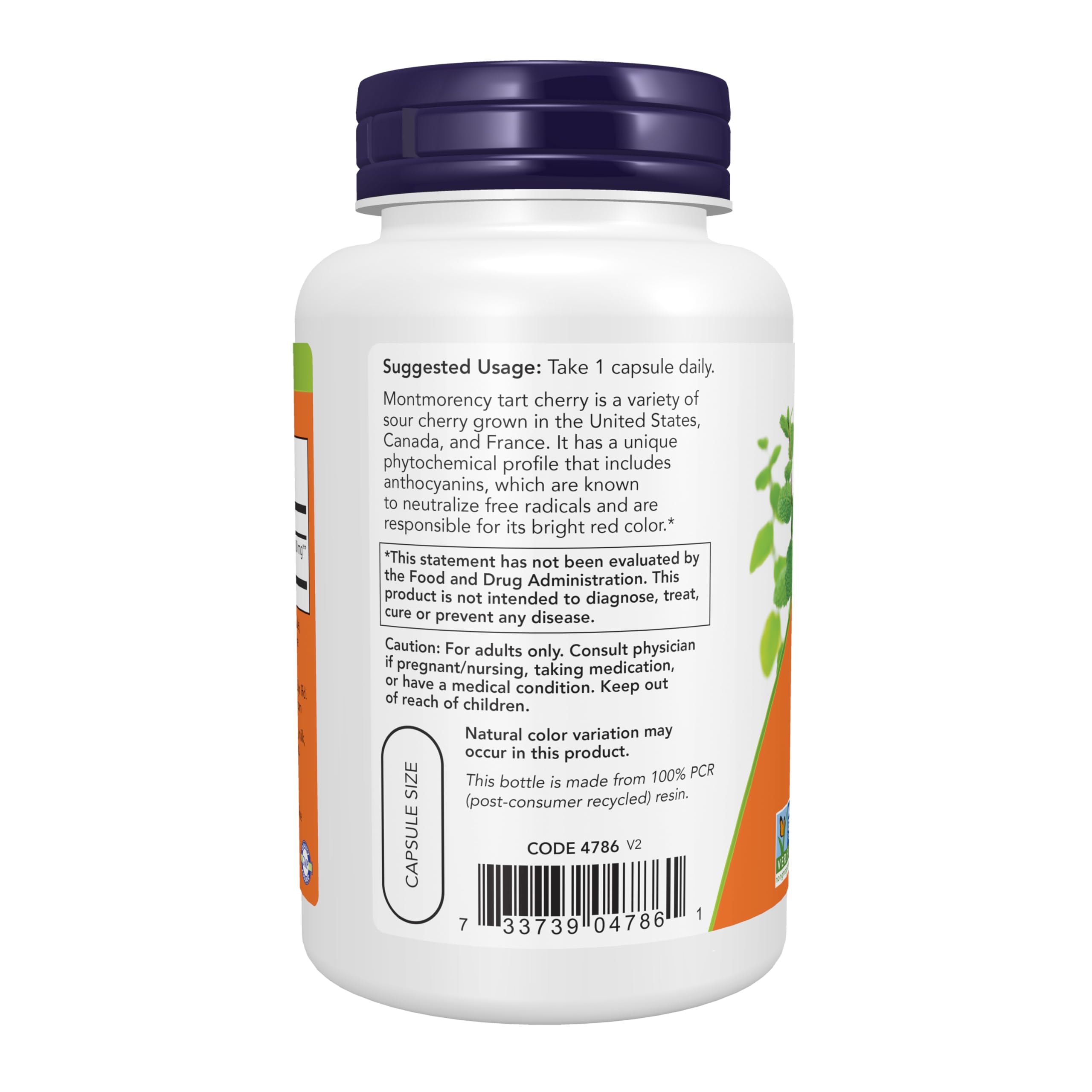 NOW Supplements, Tart Cherry (Prunus cerasus) 500 mg, 90 Veg Caps — Amazon image 3