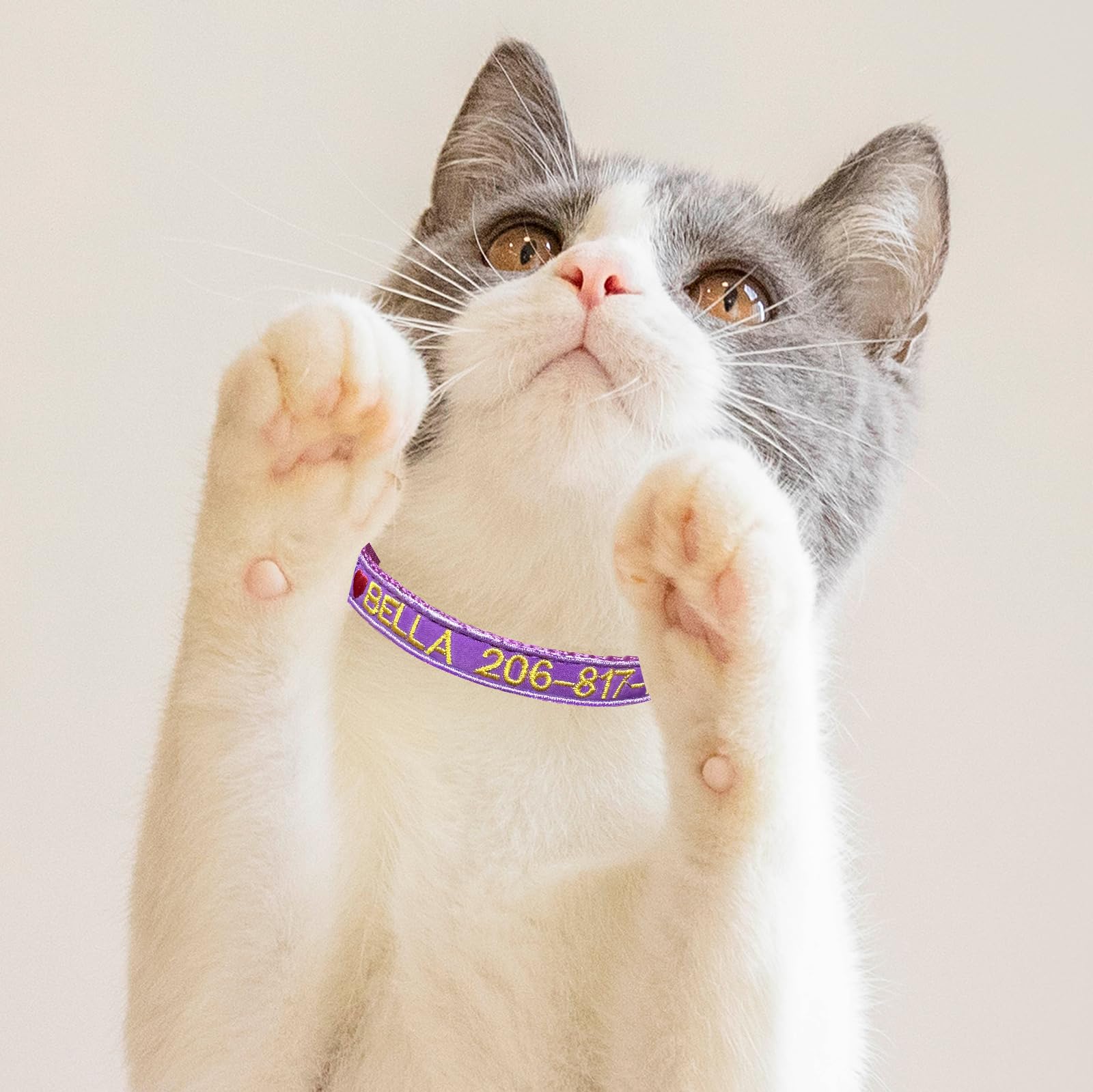 2 Pezzi Collare per gatti personalizzato, collari per gatti identificativi ricamati con nome e numero di telefono, collare in nylon per fibbia di rilascio di sicurezza con campanello
