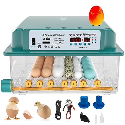 Ganggend 36 Eggs Incubators for Hatching Egg with Automatic