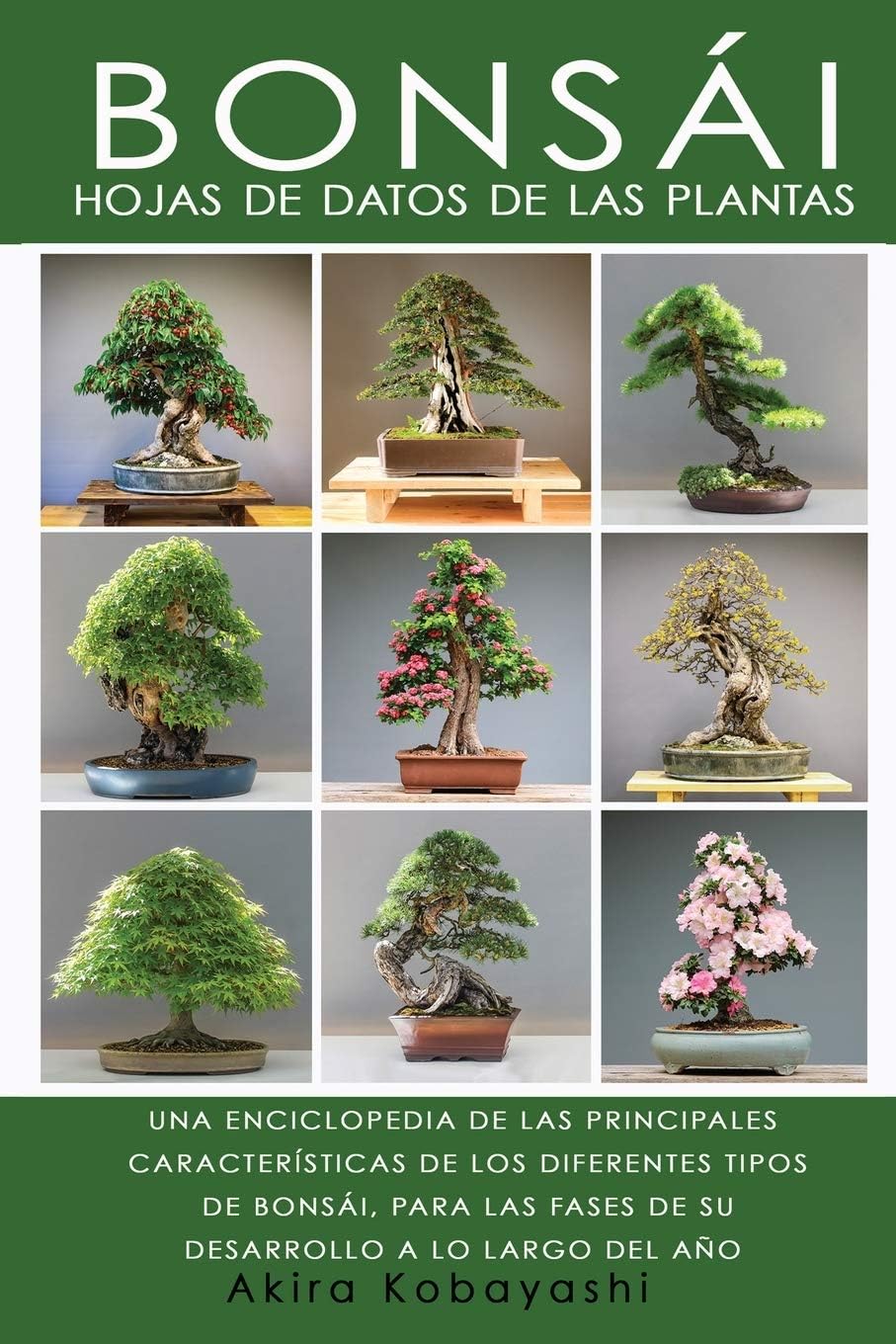 BONSÁI - Hojas de datos de las plantas: Una Enciclopedia de Las Principales Características de Los Diferentes Tipos de Bonsái, Para Las Fases de Su Desarrollo a Lo Largo del Año (Spanish Edition) Paperback