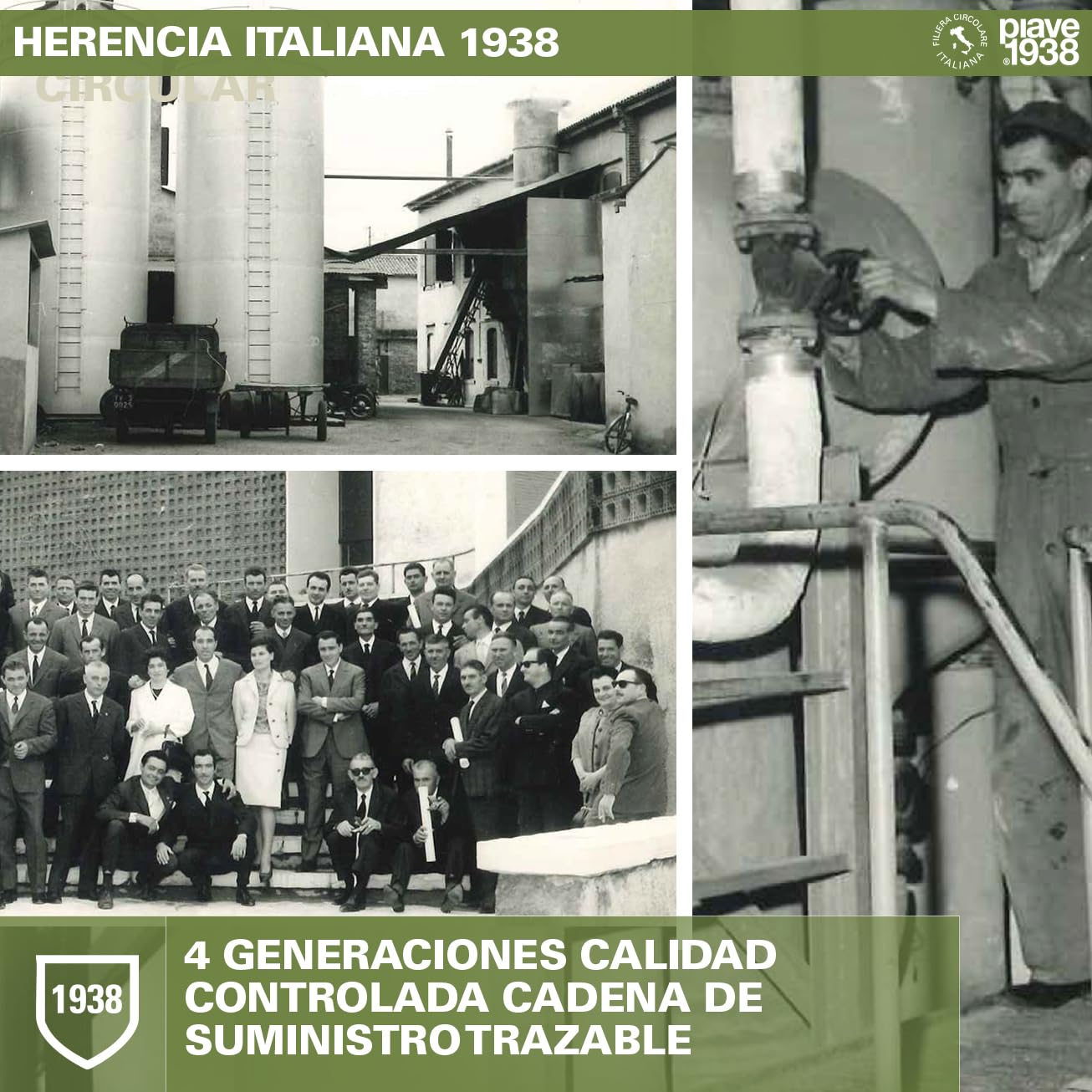 PIAVE 1938 Aceite de Semilla de Uva 5L, 100% Italiano, Alto Punto de Humo para Freír y Cocinar, Aceite Base de Masaje Neutro y Natural, Rico en Vitamina E, Garrafa Formato Profesional Hostelería