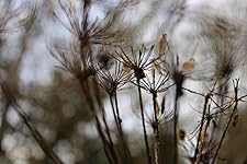 Review Image by nunya biznis nunya biznis